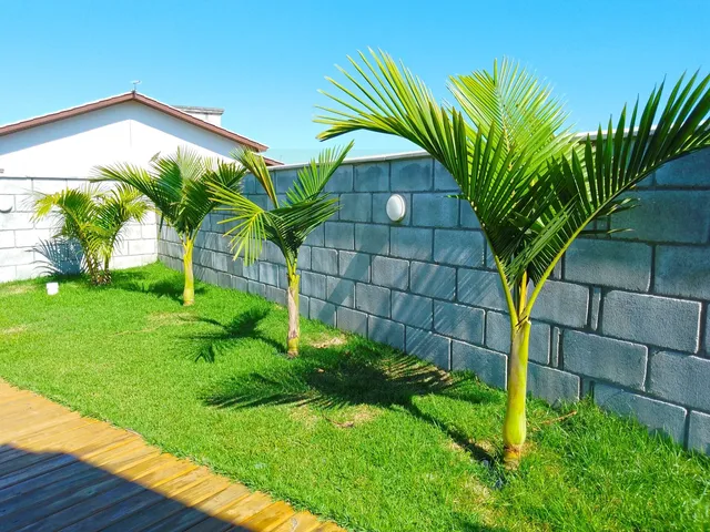 Imagem 2: Abaixo do Preço! Casa de Madeira com Terreno Gramado, Construção em Andamento E