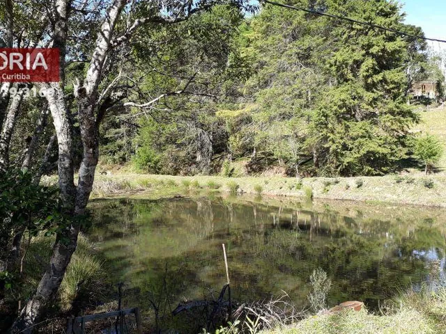 Imagem 2: Chácara À Venda em Mandirituba-Pr 20.000 M²