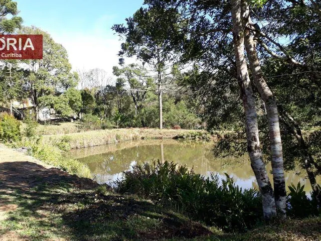 Imagem 4: Chácara À Venda em Mandirituba-Pr 20.000 M²
