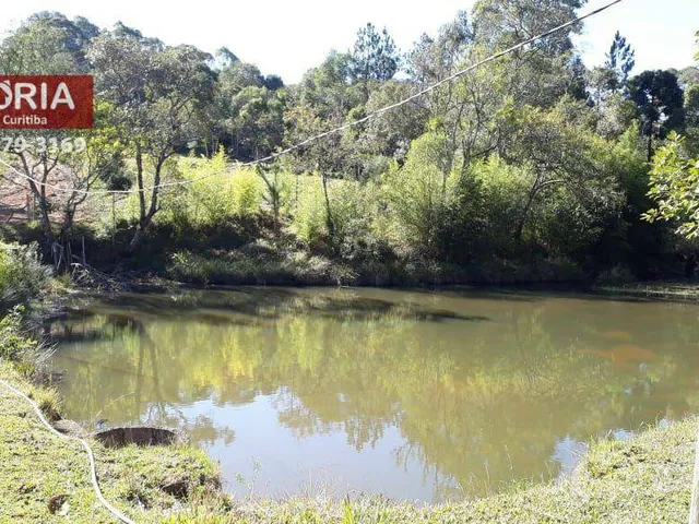 Imagem 8: Chácara À Venda em Mandirituba-Pr 20.000 M²