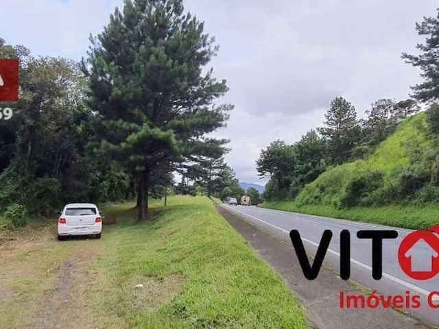 Imagem: Chácara À Venda - Matulão - Tijucas do