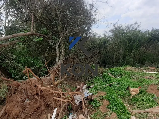 Imagem 2: Vende-Se Área Priveligida Ideal para Chacara Urbana