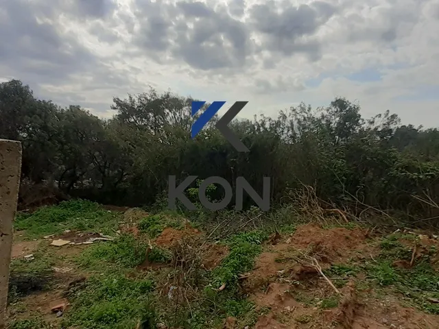 Imagem 6: Vende-Se Área Priveligida Ideal para Chacara Urbana
