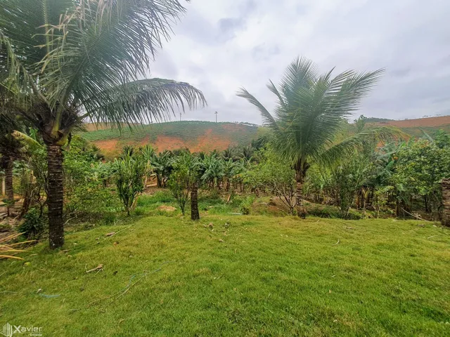 Imagem 12: Sítio À Venda com 21 Hectares em Cariacica-Es