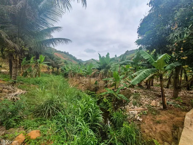 Imagem 5: Sítio À Venda com 21 Hectares em Cariacica-Es