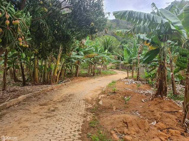 Imagem 2: Sítio À Venda com 21 Hectares em Cariacica-Es
