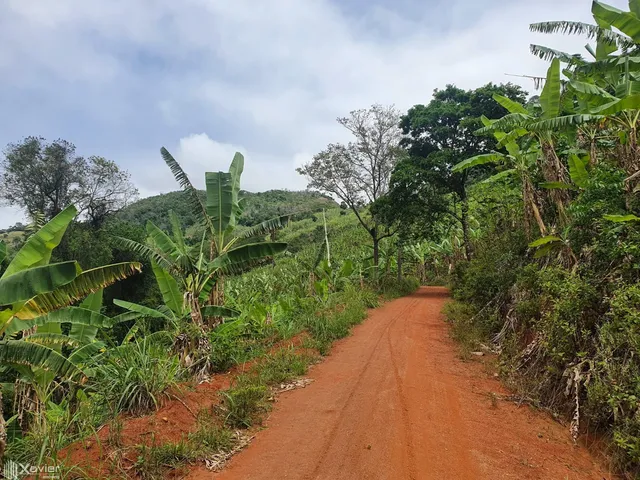 Imagem 14: Sítio À Venda com 21 Hectares em Cariacica-Es