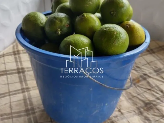 Imagem 11: Chácara Cidade de Itapeva M.g. - Área Total 3.370 M² Porteira Fechada
