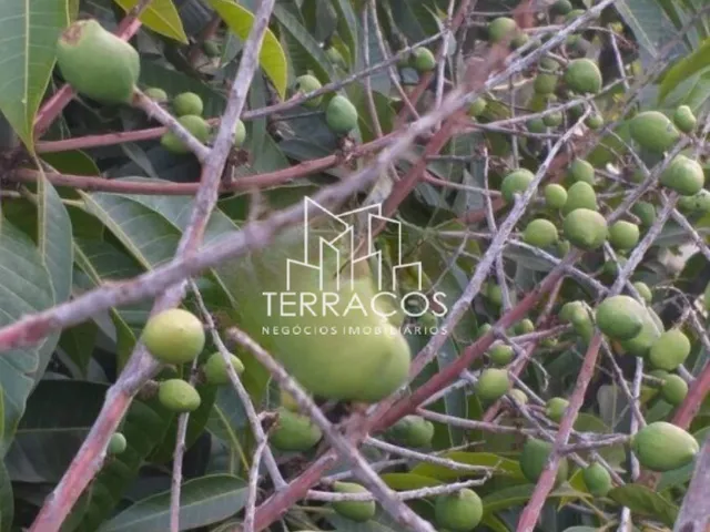 Imagem 14: Chácara Cidade de Itapeva M.g. - Área Total 3.370 M² Porteira Fechada