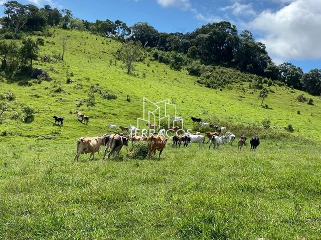 Imagem: Sítio em Itapeva Sul de Minas com 2,5 Alqueires