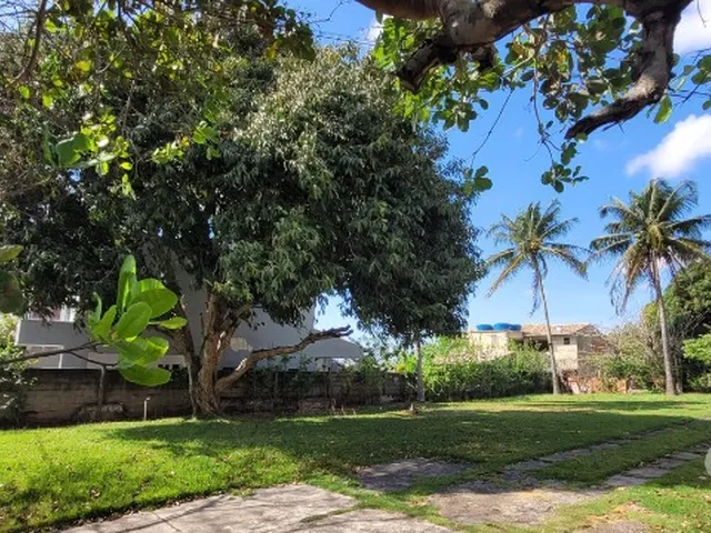 Imagem 4: 3 Dormitórios na Rua Mato Grosso