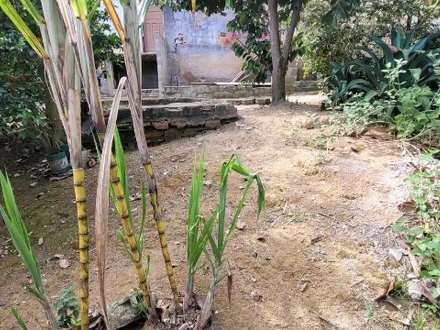 Imagem 11: 3 Dormitórios na Rua Mato Grosso