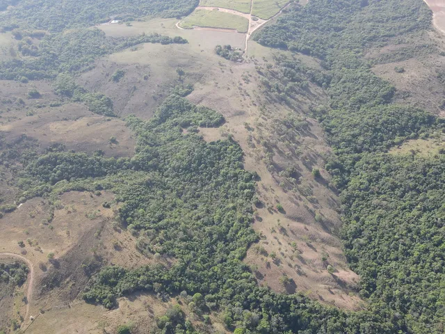 Imagem 5: Fazenda Dupla Aptidão Muito Bem Localizada em Perdizes/Mg