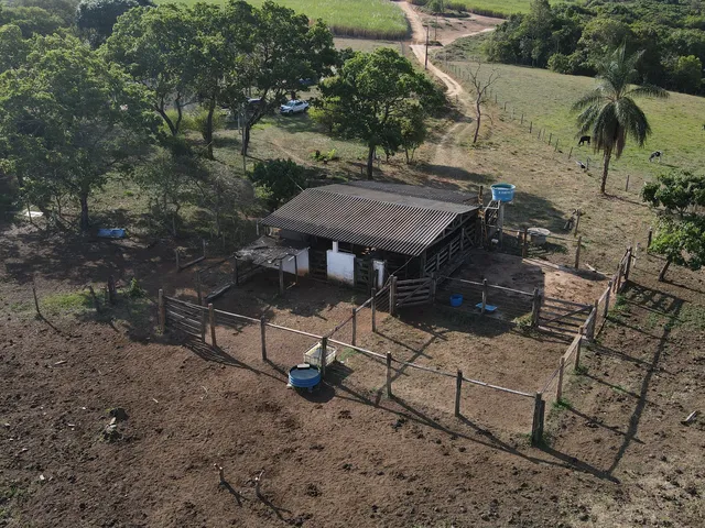 Imagem 2: Fazenda Dupla Aptidão Muito Bem Localizada em Perdizes/Mg