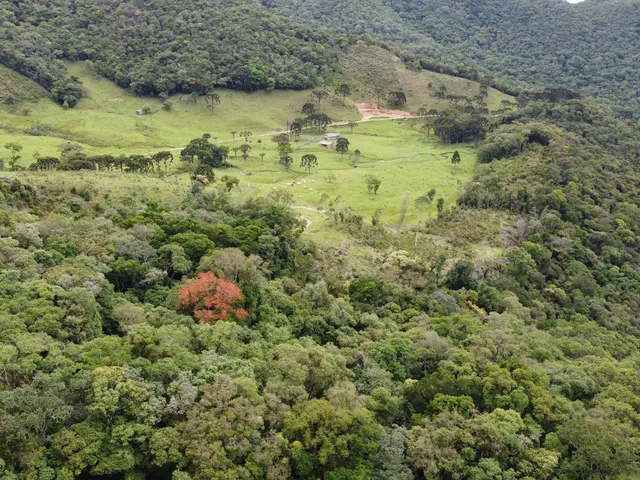 Imagem 4: Terreno Rural Rural em Anitápolis - Sc, santa Barbara