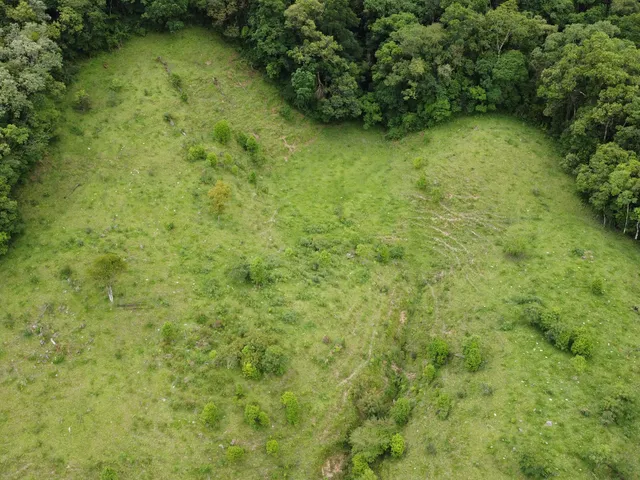 Imagem 8: Terreno Rural Rural em Anitápolis - Sc, santa Barbara
