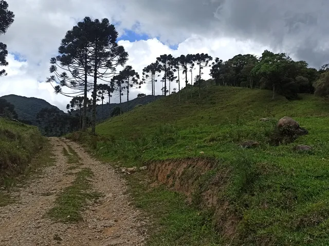 Imagem 10: Terreno Rural Rural em Anitápolis - Sc, santa Barbara