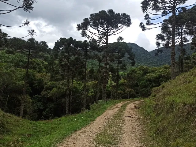 Imagem 13: Terreno Rural Rural em Anitápolis - Sc, santa Barbara