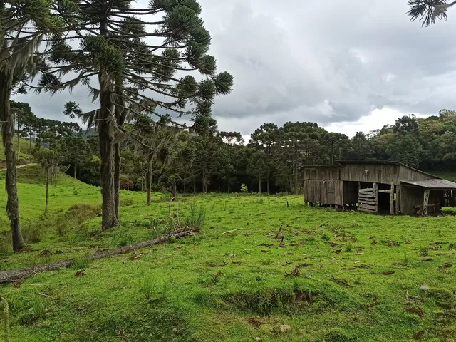 Imagem 11: Terreno Rural Rural em Anitápolis - Sc, santa Barbara