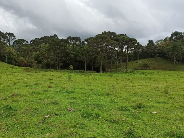 Imagem 2: Terreno Rural Rural em Anitápolis - Sc, santa Barbara