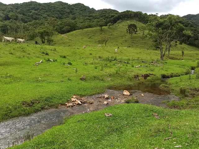 Imagem 5: Terreno Rural Rural em Anitápolis - Sc, santa Barbara