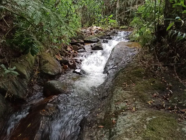 Imagem 3: Terreno Rural Rural em Anitápolis - Sc, santa Barbara