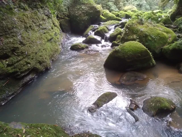 Imagem: Sitio Rural em Alfredo Wagner - Sc, Limeira