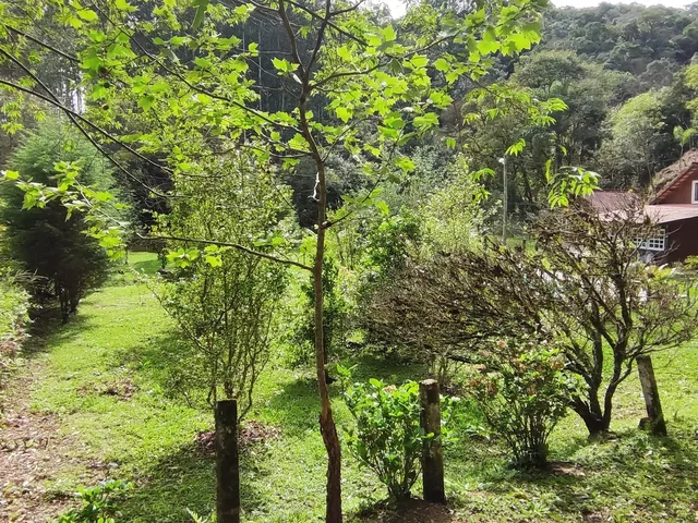 Imagem 16: Sitio Rural em Anitápolis - Sc, Rio do Ouro