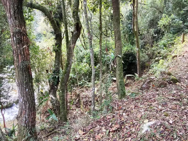 Imagem 9: Sitio Rural em Anitápolis - Sc, Rio do Ouro
