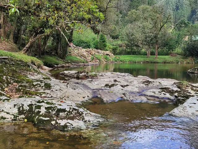 Imagem 5: Sitio Rural em Anitápolis - Sc, Rio do Ouro