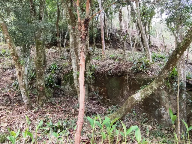 Imagem 10: Sitio Rural em Anitápolis - Sc, Rio do Ouro