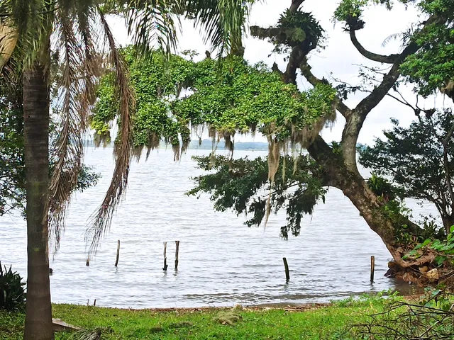 Imagem 1: Terreno Rural Rural em Imaruí - Sc, Itaguaçu