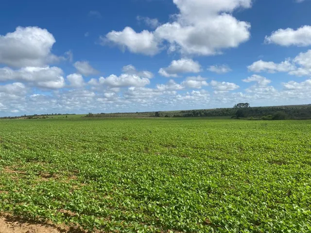 Imagem: A fazenda possui 2.100m² de Área e está localizado em