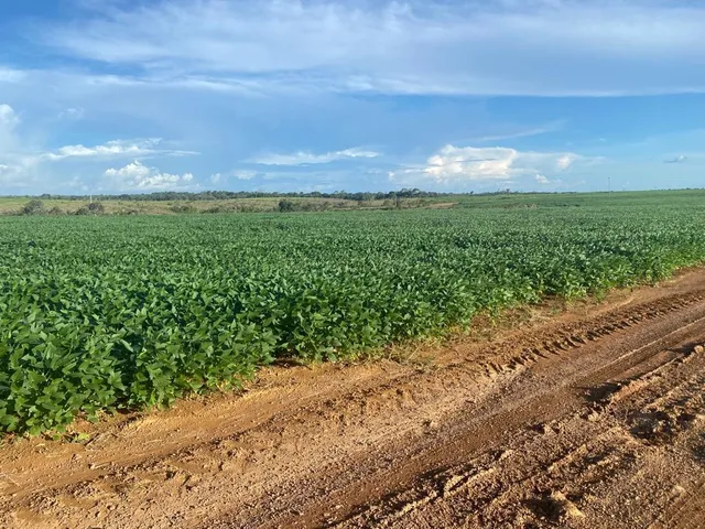 Imagem 13: Fazenda Rural em Macapá - Ap, Central