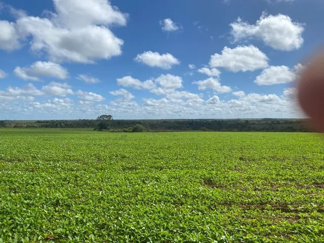 Imagem 14: Fazenda Rural em Macapá - Ap, Central