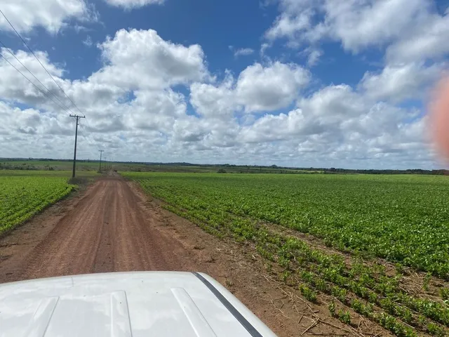 Imagem 7: Fazenda Rural em Macapá - Ap, Central