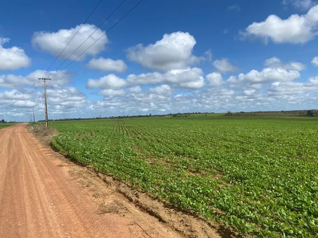 Imagem 8: Fazenda Rural em Macapá - Ap, Central