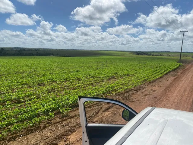 Imagem 3: Fazenda Rural em Macapá - Ap, Central