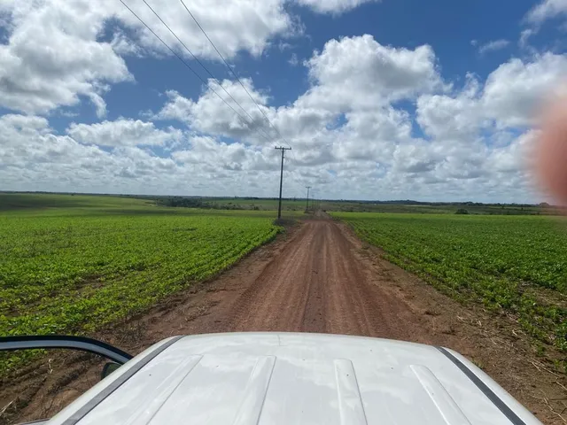 Imagem 9: Fazenda Rural em Macapá - Ap, Central