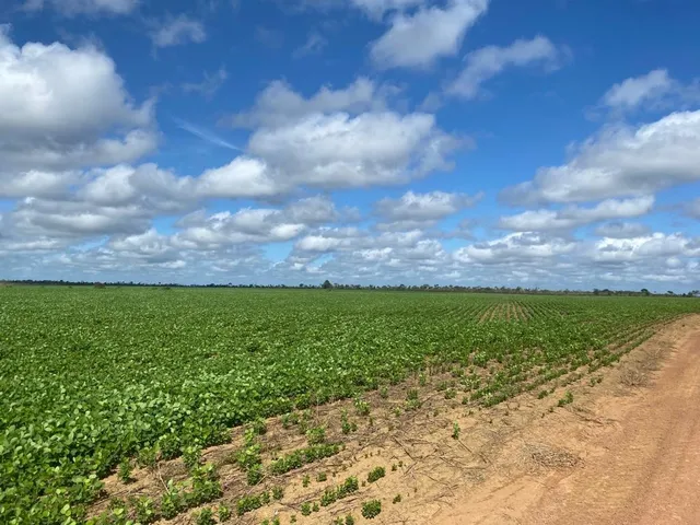 Imagem 2: Fazenda Rural em Macapá - Ap, Central
