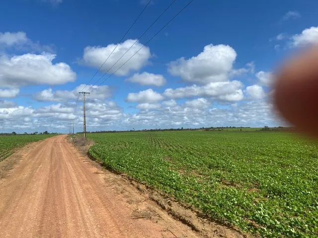 Imagem 6: Fazenda Rural em Macapá - Ap, Central
