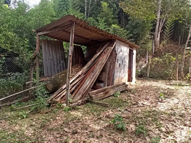 Imagem 12: Chácara 4 quartos com 4.119 m² com lago