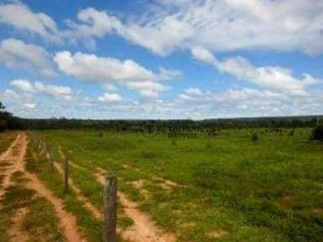 Imagem: Fazenda À Venda, 79940000 M² por R$ 31.000.000