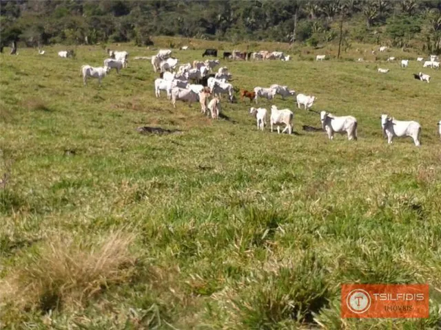 Imagem: Fazenda com 18.000 Hectares À Venda, 180000000