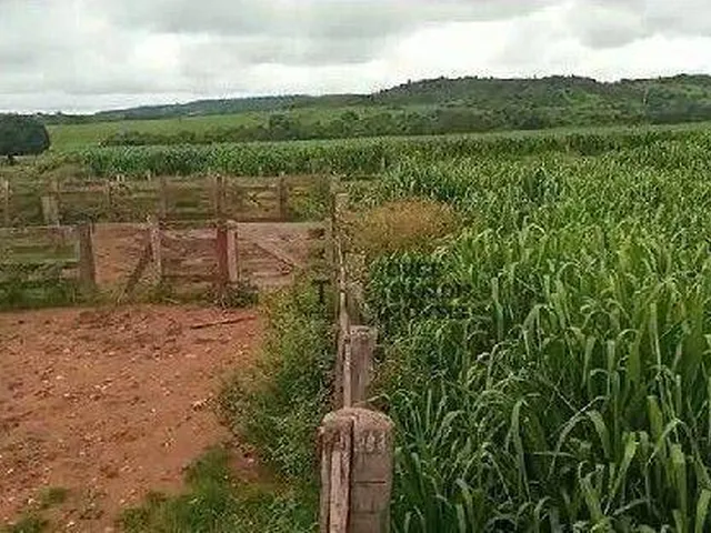 Imagem: Fazenda À Venda, 13790000 M² por R$ 76.500.000