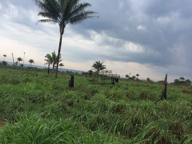 Imagem: Fazenda com 4 Dormitórios À Venda, 22000000