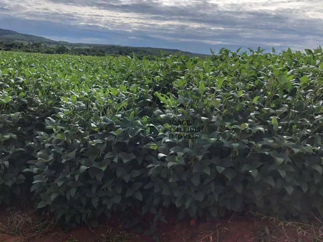 Imagem: Fazenda com 10 Dormitórios À Venda, 104400000