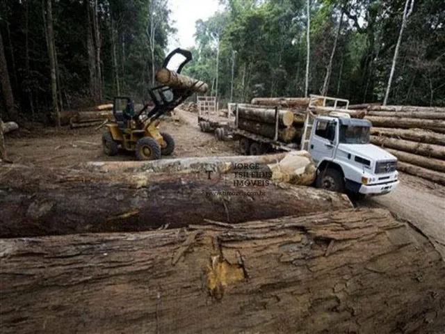 Imagem: A fazenda possui 6 Dormitórios, 2 Banheiros e está