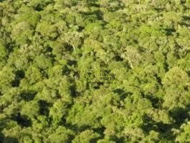 Imagem 3: Fazenda com 6 Dormitórios À Venda, 160000000 M² por R$ 50.000.000,00 - Centro - Sena