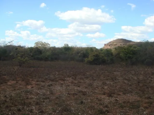 Imagem: Fazenda Grande Extensão para Venda na Região